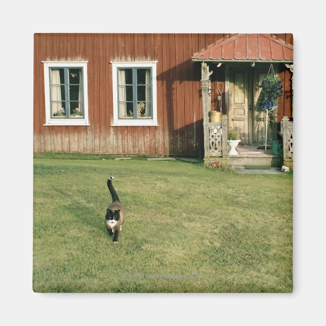 Worn red house with a cat on the lawn. magnet (Front)