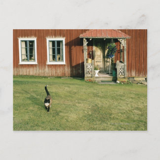 Worn red house with a cat on the lawn. postcard