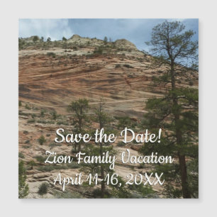 Worn Rock Walls in Zion National Park