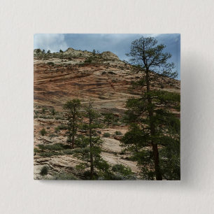 Worn Rock Walls in Zion National Park 15 Cm Square Badge