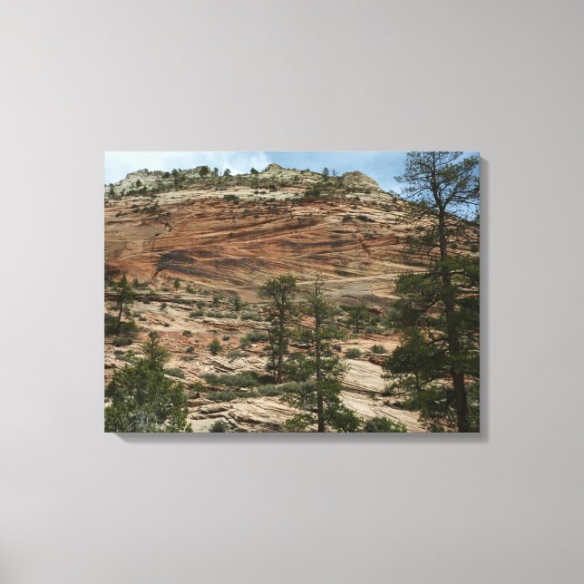 Worn Rock Walls in Zion National Park Canvas Print (Front)