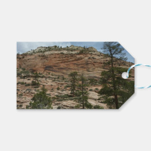 Worn Rock Walls in Zion National Park Gift Tags