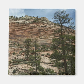 Worn Rock Walls in Zion National Park Magnet