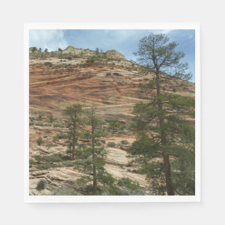 Worn Rock Walls in Zion National Park Napkin