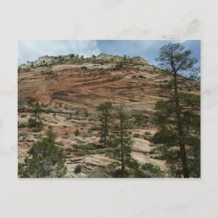 Worn Rock Walls in Zion National Park Postcard