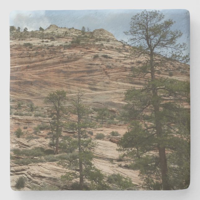 Worn Rock Walls in Zion National Park Stone Coaster (Front)