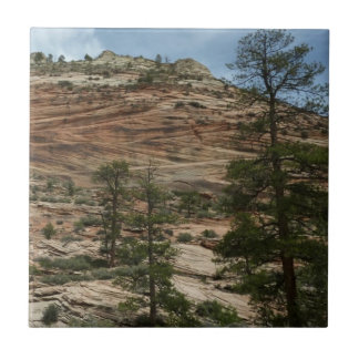 Worn Rock Walls in Zion National Park Tile