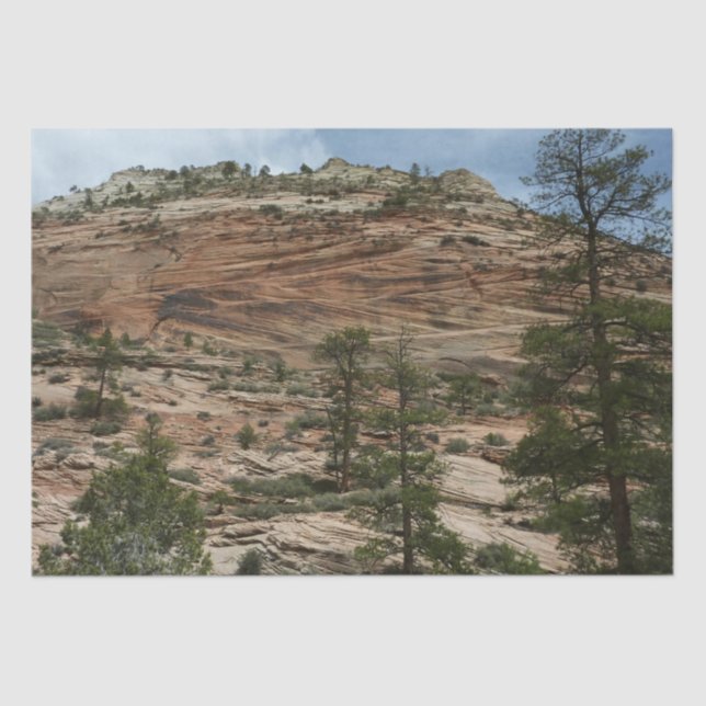 Worn Rock Walls in Zion National Park Tissue Paper (Front)