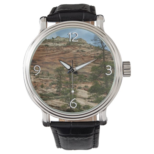 Worn Rock Walls in Zion National Park Watch (Front)