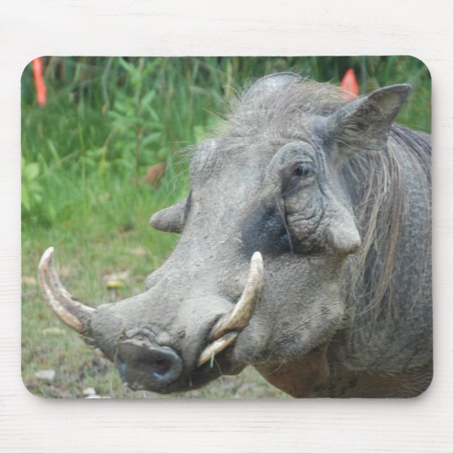 wort-hog10x10 mouse pad (Front)
