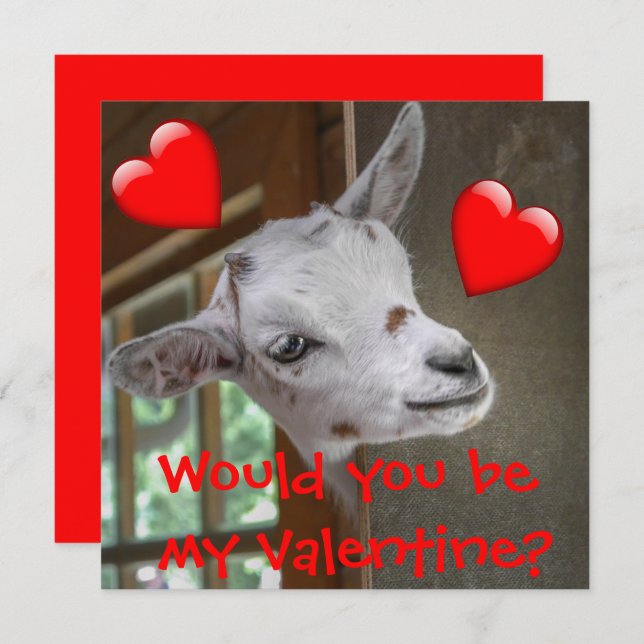 Would You Be My Valentine? Goat Funny Card (Front/Back)
