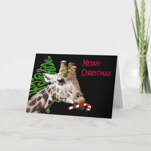 Would you like a Candy Cane? Holiday Card (Front)