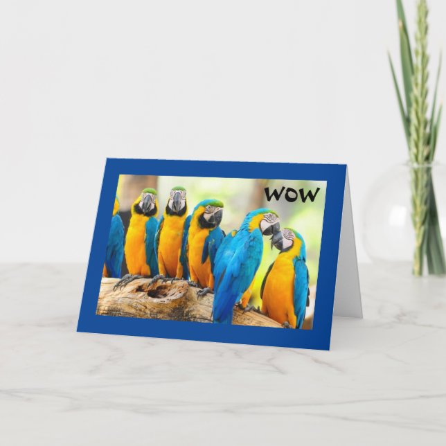 WOW--"21"-HOW COOL IS THAT! CARD (Front)