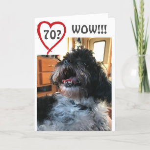 **WOW** AND **WHOO WHO** YOUR **70th**BIRTHDAY Card