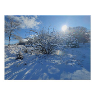 Wow is the Winter of Artist Content Poster