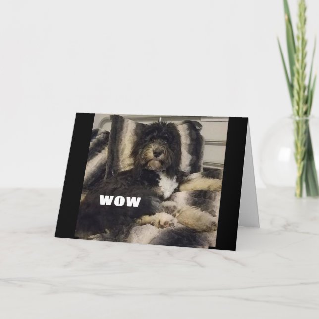 WOW JUST CAN'T BELIEVE YOU ARE "40" CARD (Front)