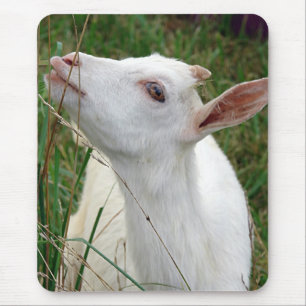 Wow!  This Grass is Taller Than Me Mouse Pad