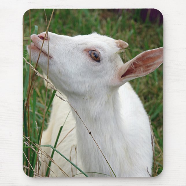 Wow!  This Grass is Taller Than Me Mouse Pad (Front)