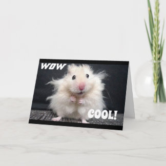 WOW YOU ARE **60** SAYS COOL HAMSTER CARD