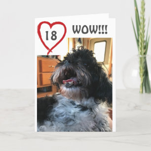 **WOW** YOU ARE HAVING A **18th** BIRTHDAY Card