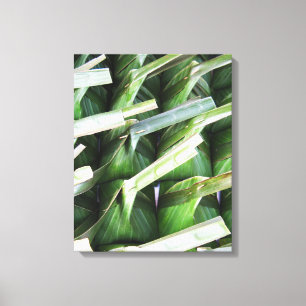 Wrapped Banana Leaf Packets Canvas Print