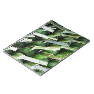 Wrapped Banana Leaf Packets Notebook