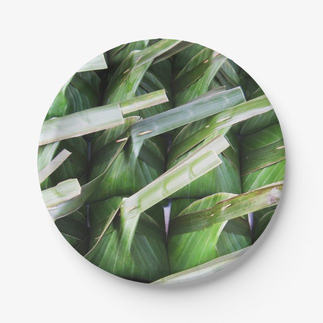 Wrapped Banana Leaf Packets Paper Plate (Front)