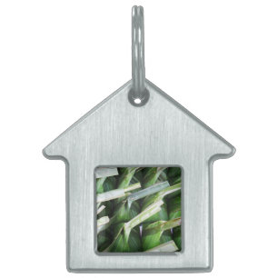 Wrapped Banana Leaf Packets Pet ID Tag