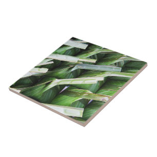 Wrapped Banana Leaf Packets Tile