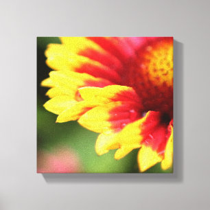Wrapped botanical canvas flower photography print