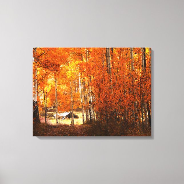 Wrapped Canvas Fine Art Cabin Aspen Autumn Colours (Front)