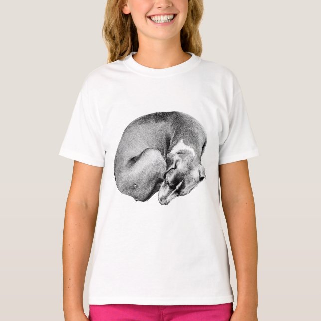 Wrapped in Rest T-Shirt (Front)