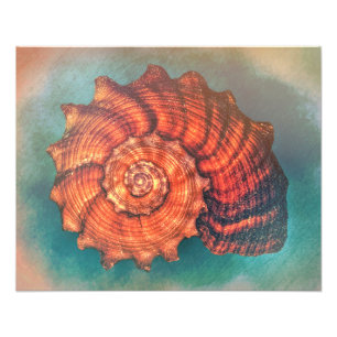 Wrapped Up - Colour Photo Print