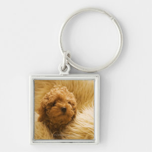 Wrapped up Poodle Key Ring
