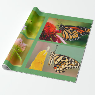 Wrapping Paper