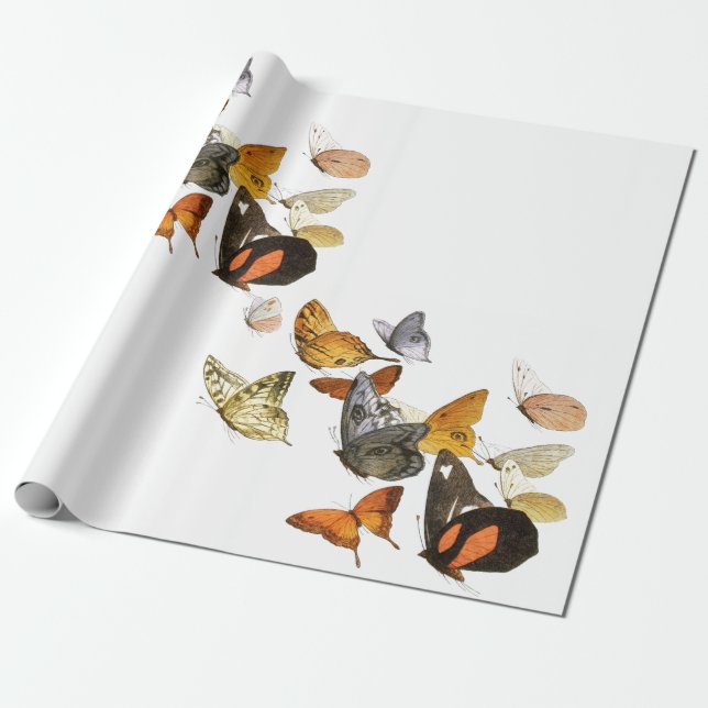 Wrapping Paper (Unrolled)