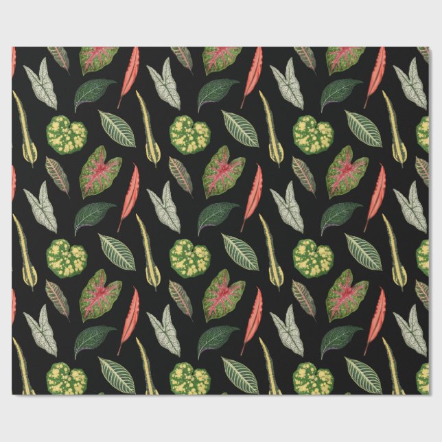 Wrapping Paper (Flat)