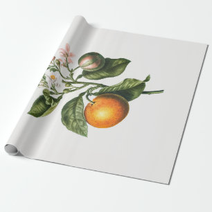 WRAPPING PAPER : BITTER ORANGE BLOSSOM