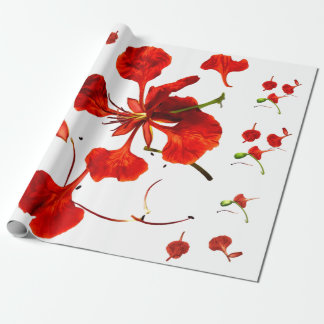 Wrapping Paper Royal Poinciana