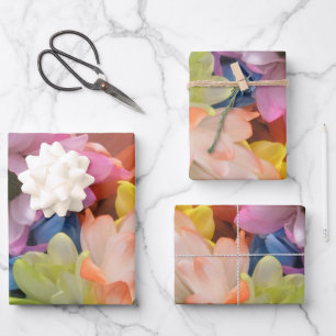 Wrapping Paper Set - Multi-Coloured Daisies II
