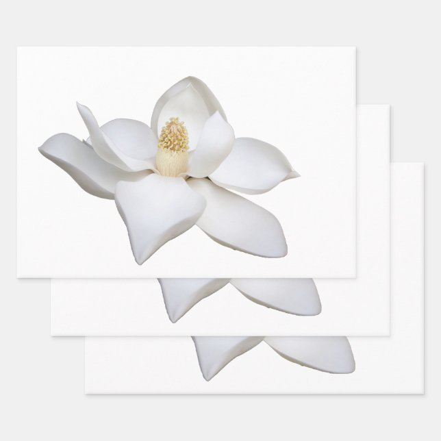 Wrapping Paper Sheet Set (Set)