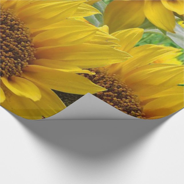 Wrapping Paper Sunflowers (Corner)