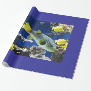 wrapping paper, under the sea, fish paper