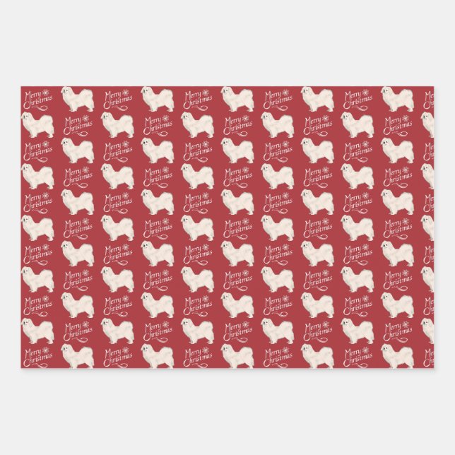 Wrapping Paper White Tibetan Spaniel (Front)
