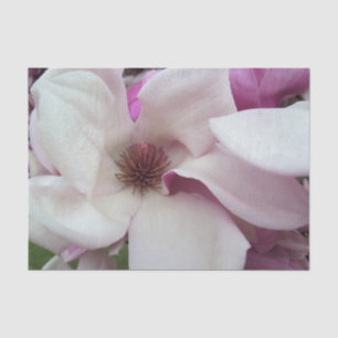 Wrapping Tissue - Saucer Magnolia Bloom Tissue Paper