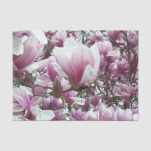 Wrapping Tissue - Saucer Magnolia Paper