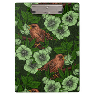Wren and hellebore on dark green clipboard