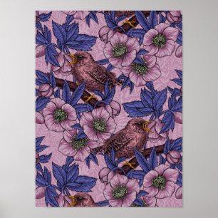 Wren and hellebore, pink and violet poster