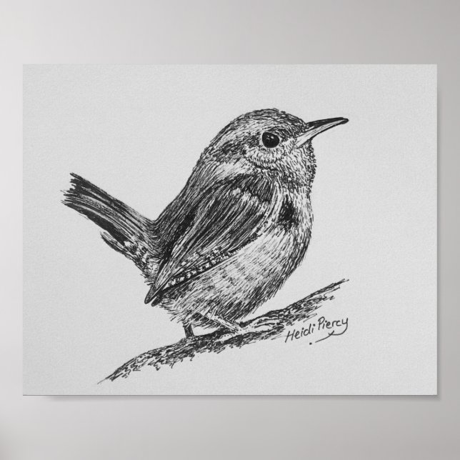 Wren Bird Art Poster (Front)