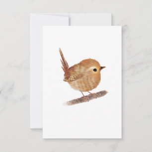 Wren Bird Blank Notecards